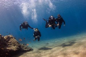 Basic Diver - Double try-dive in Lanzarote