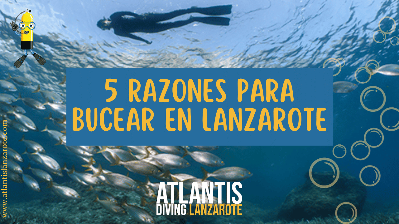 5 Razones Irresistibles para Bucear en Lanzarote