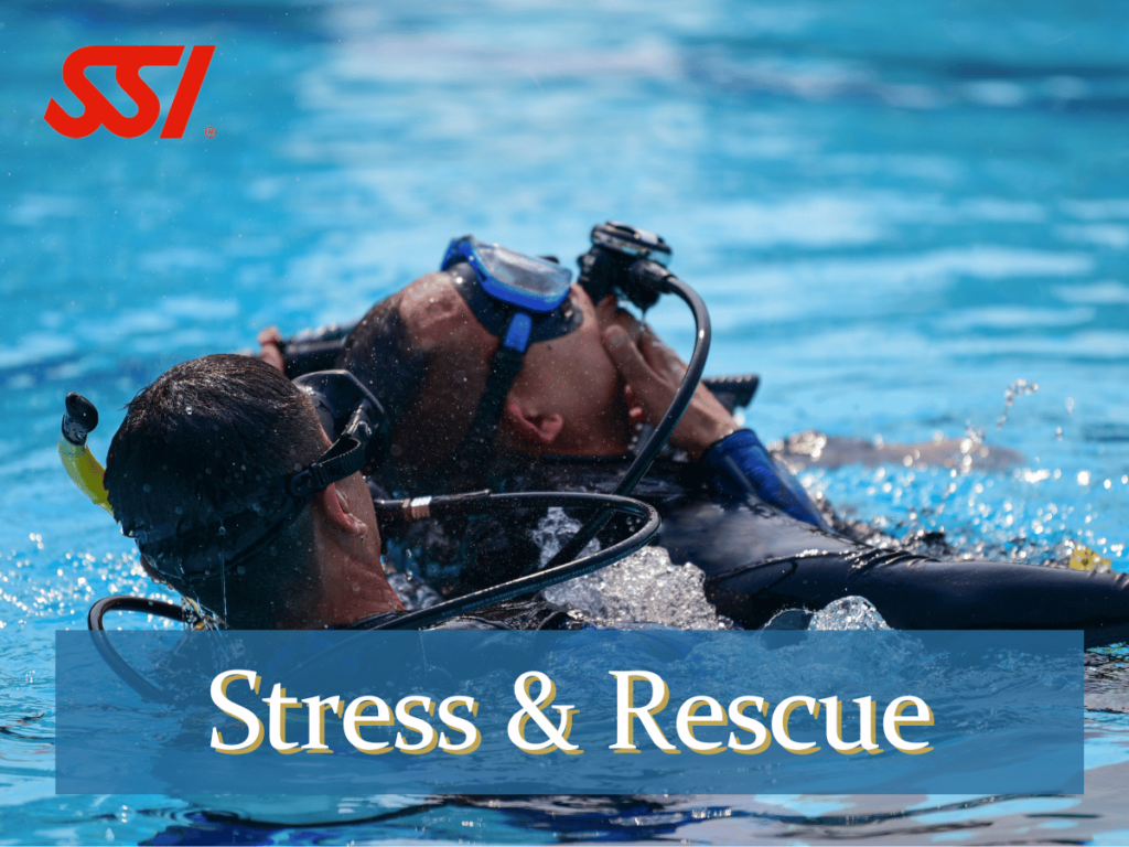 Curso Stress & Rescue Rescate SSI Lanzarote