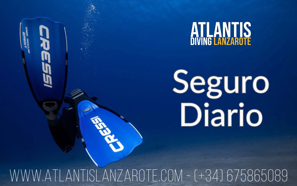 seguro buceo diario