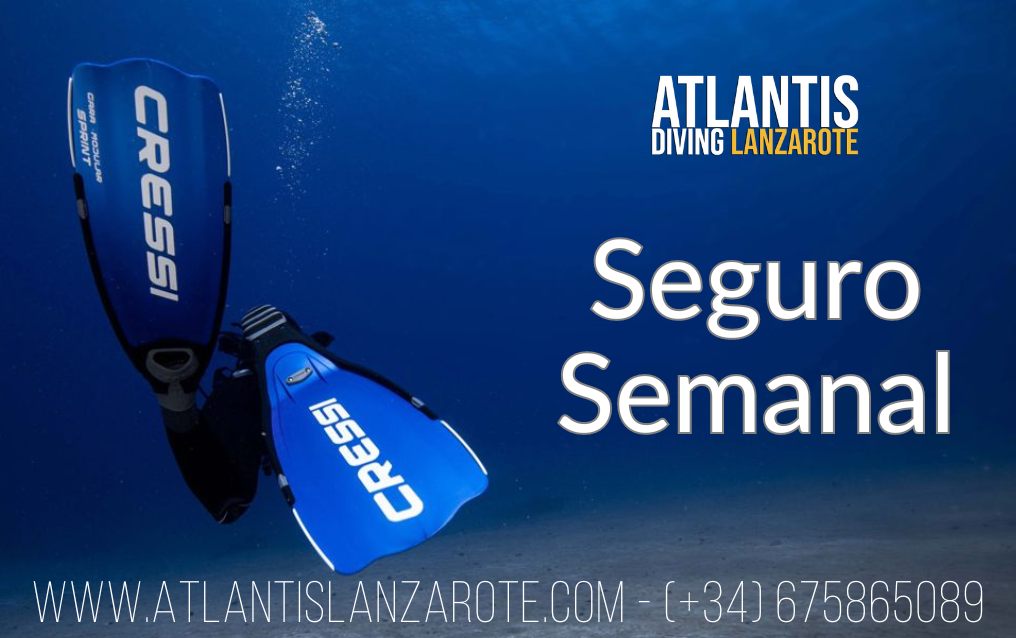 seguro buceo semanal