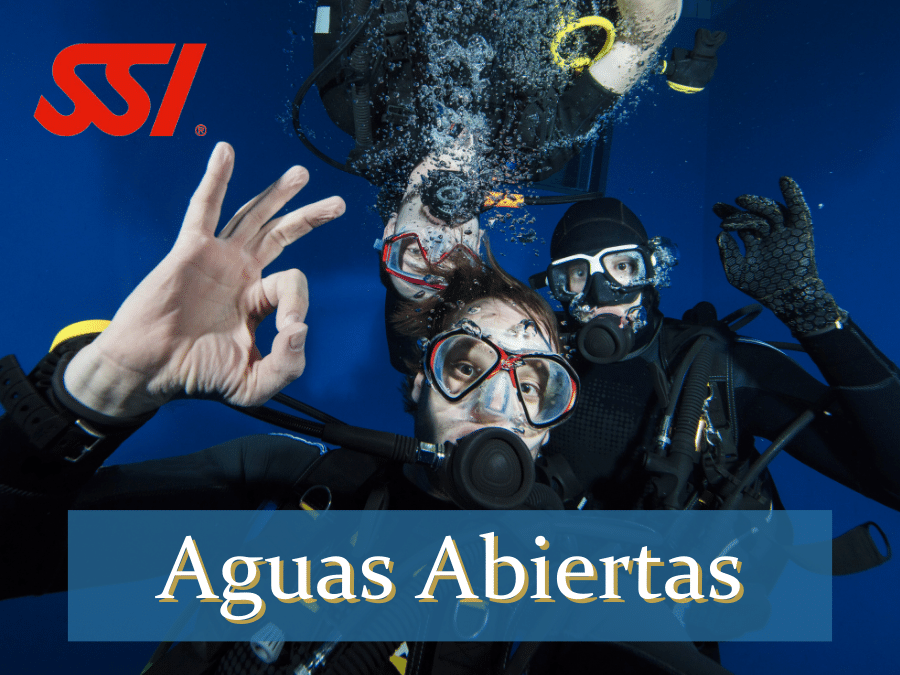 curso open water lanzarote certificacion de buceo