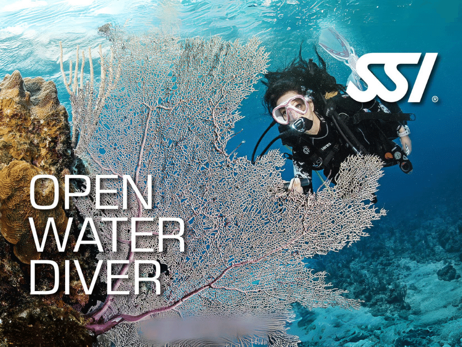 Curso Open Water Lanzarote certificacion buceo SSI