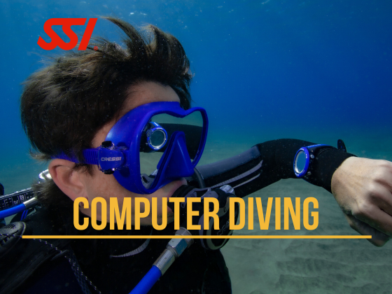 curso computer diving online