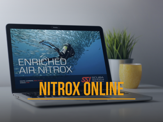 curso nitrox buceo online